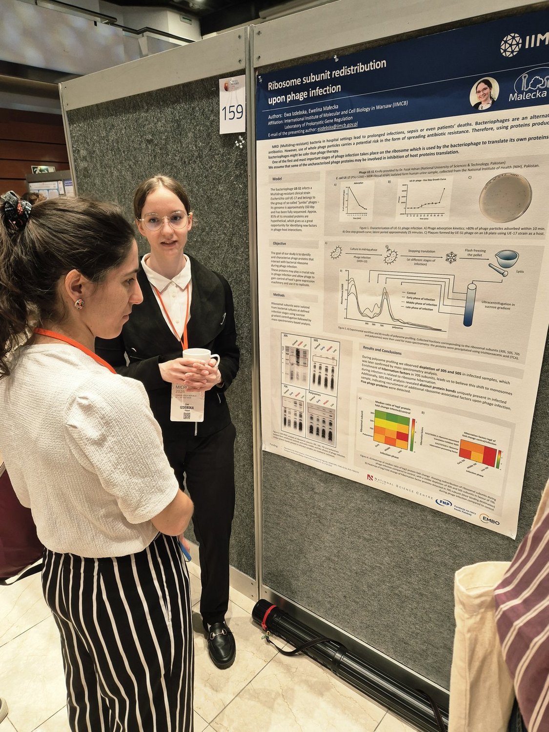 Viruses of Microbes 2026 in Prague