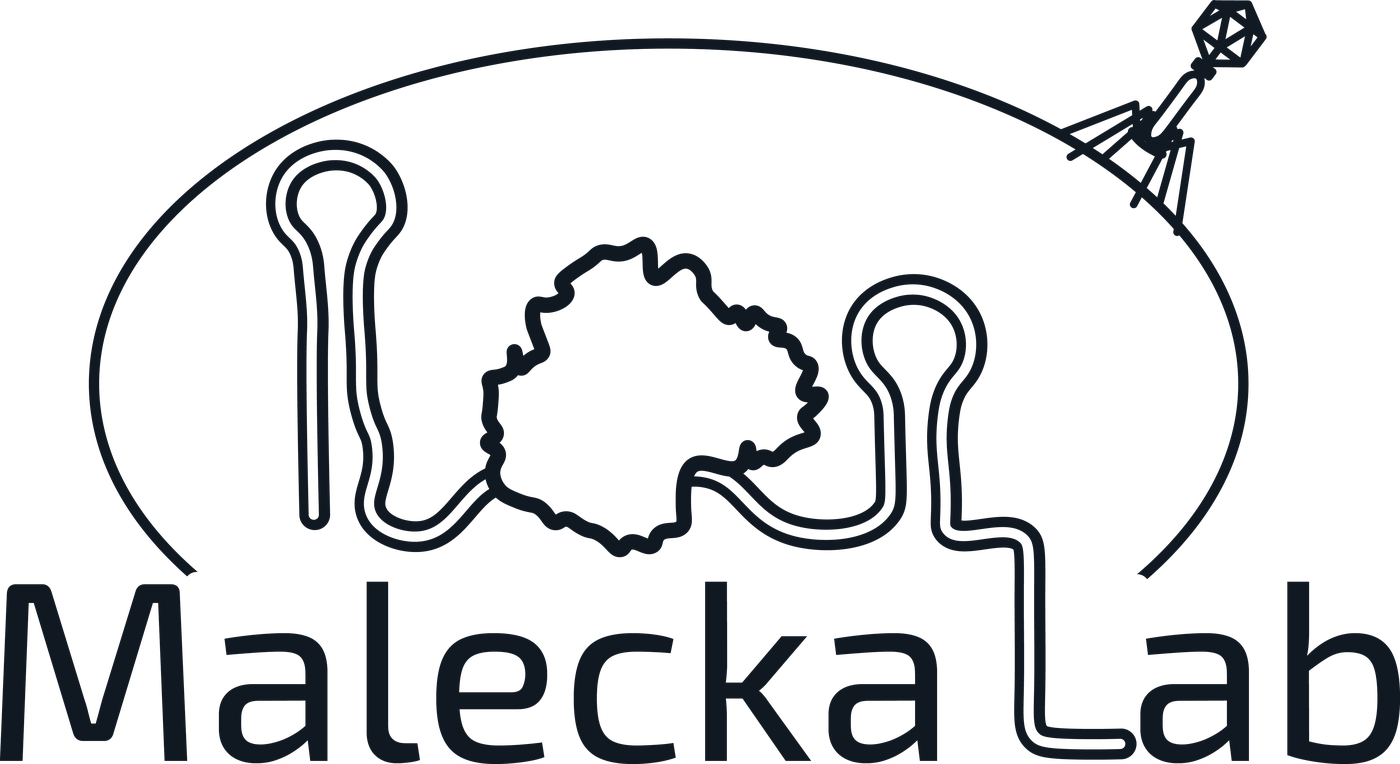 Małecka Lab
